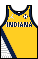 Kit body indianapacers statement.png