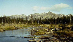 Lake Clark in the Kijik Archeological District
