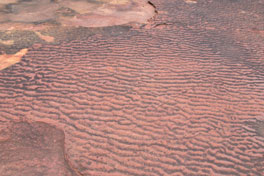 Devils Island Sandstone Ripples