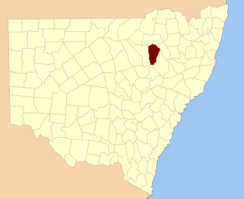 White NSW.PNG