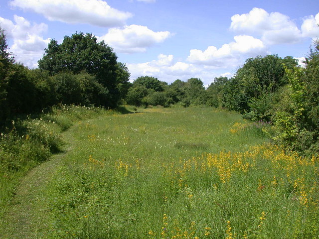 Kingston and Bourn old railway Local Nature Reserve - geograph.org.uk - 871131