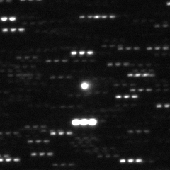 3I-ATLAS CFHT 2025-Jul-02 Seligman et al. 2025 crop-invert
