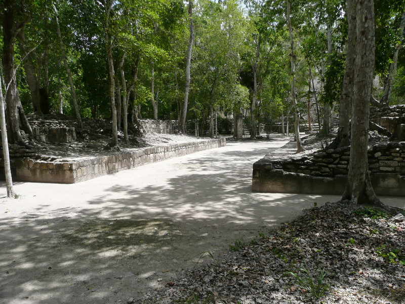 Calakmul6