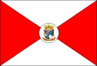 Bandeira de Abadia de Goiás.jpg