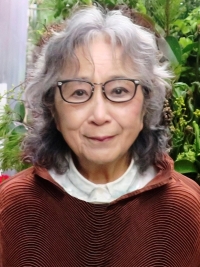 Fujiko Nakaya.jpg