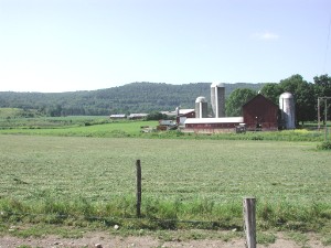 Dairy Farm, Cincinnatus, NY