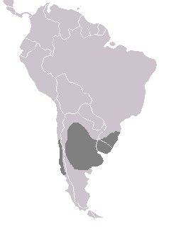 Heteronetta atricapilla distribution.PNG