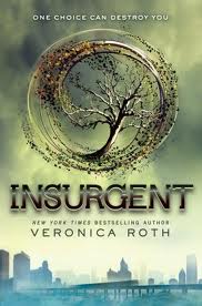 Insurgent (book)