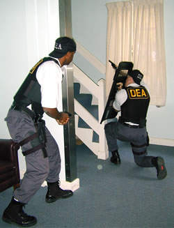 DEA-Agents