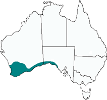 Map of Dugite Distribution Within Australia