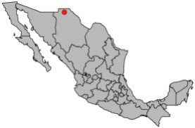 Map showing Palomas within Mexico