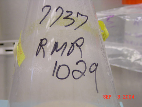 RMR-1029