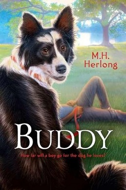 Buddy (Herlong novel).jpg