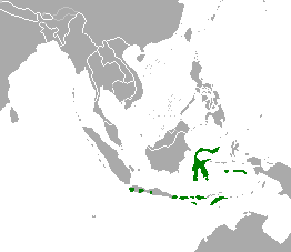 Rusa timorensis natural range-map.png