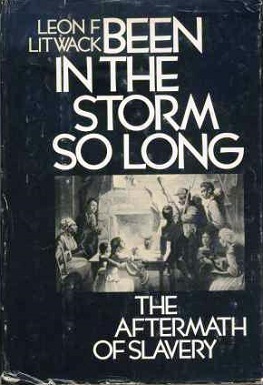 Been in the Storm So Long book cover.jpg