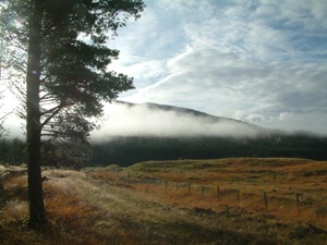 Mistyglen