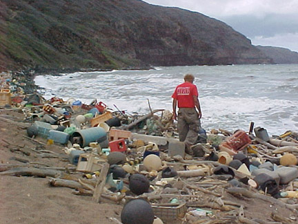  Débris marins sur la côte hawaïenne 