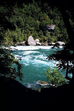 Niagara-river-glen