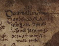 Domnall mac Murchada and Donnchad mac Domnaill Remair (Trinity College Dublin MS 1339, page 39)