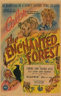 Poster of the movie The Enchanted Forest.jpg
