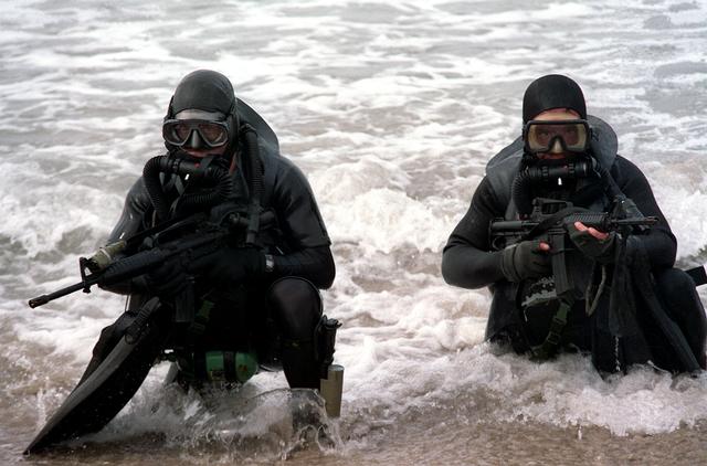 SEALS wearing diving gear
