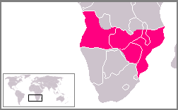 Mapa Cor-de-Rosa