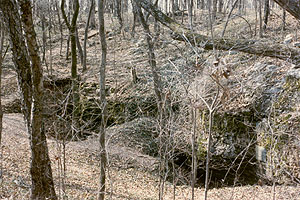 Shelta Cave in Huntsville, Alabama