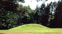 Bynum Mound.jpg