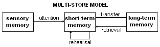 Multistore model.png