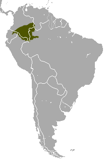 Brown Woolly Monkey area.png