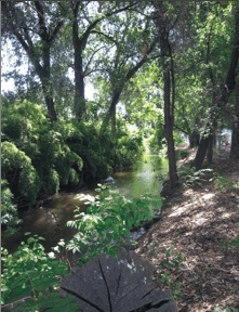 Mill Creek Visalia