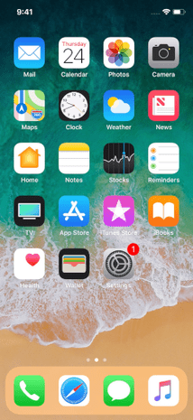 IOS 11 Homescreen iPhone X.png