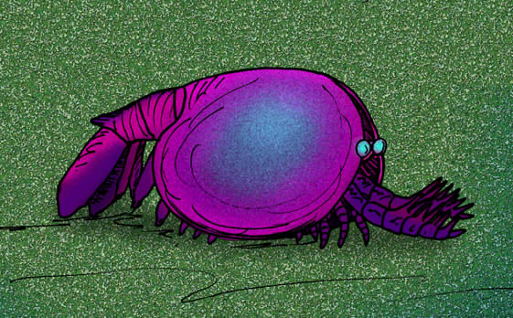 Occacaris oviformis