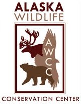 AWCC logo.png
