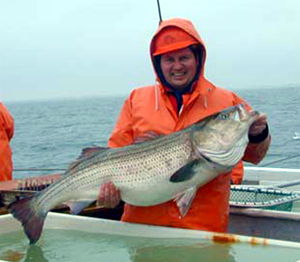 Researcher with striped bass