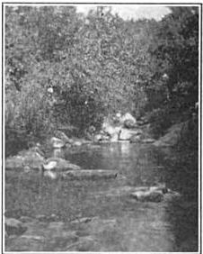 Laurel Run in the late 1800s or early 1900s.JPG