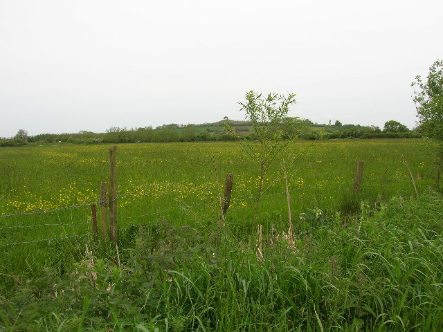 Westmoor