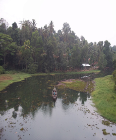 Mynagappally Kallukadavu river