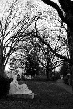 Serenity Clara Proper Right