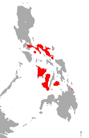 Philippine Pygmy Roundleaf Bat area.png