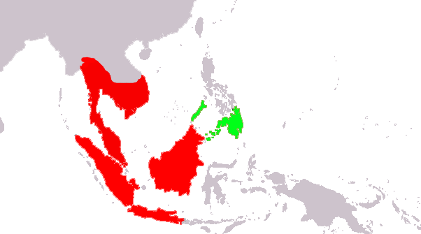 DistributionDermopteraCorrecting