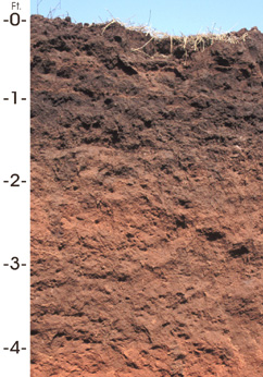 Oklahoma state soil