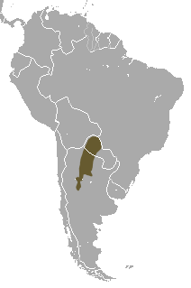 Chacoan Naked-tailed Armadillo area.png