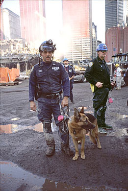 State Department Images WTC 9-11 Officer with the Canine Rescue Team