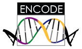 ENCODE logo.png