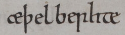 Anglo-Saxon Chronicle - Aethelberhte