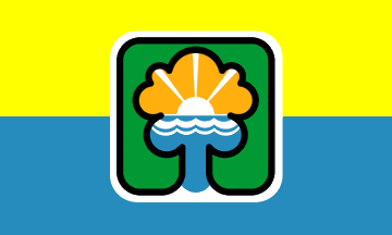 ChaskaMNflag