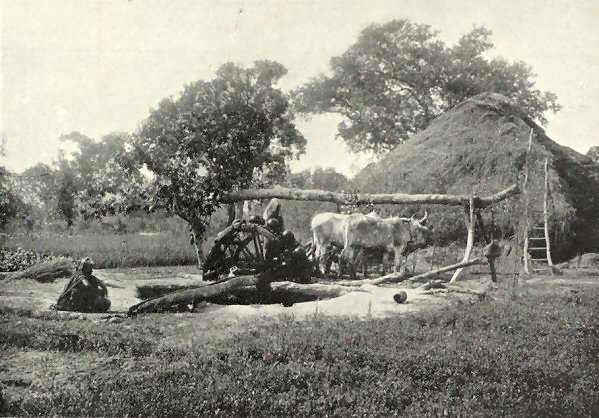 The  Persian Wheel. 