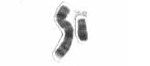 Human male karyotpe high resolution - XY chromosome cropped