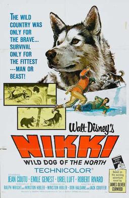 Nikki, Wild Dog of the North.jpg